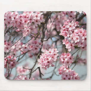 Tapis De Souris Arbre Fleurs Cerisier Rose