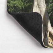 Tapis De Souris Arbre géant Banyan ... Temple de Ta Prohm, Cambodg (Coin)