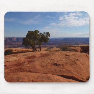 Tapis De Souris Arbre hors des rochers rouges I à Canyonlands