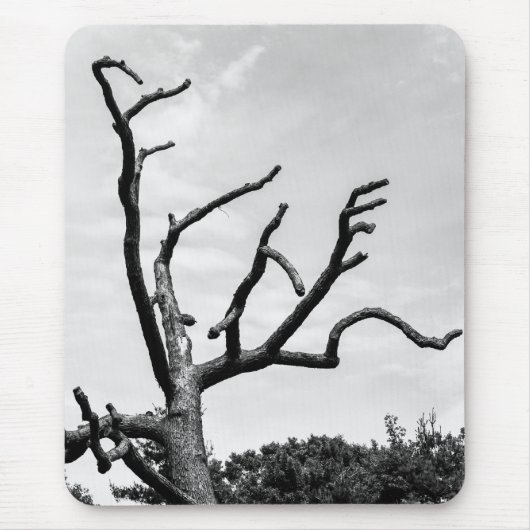 Tapis De Souris arbre libre (Devant)