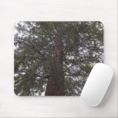 Tapis De Souris Arbre magnifique (Avec souris)