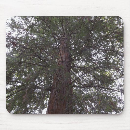Tapis De Souris Arbre magnifique (Devant)