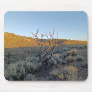 Tapis De Souris Arbre mort dans le désert du Nevada