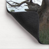 Tapis De Souris Arbre Mousepad de baobab (Coin)