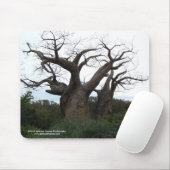 Tapis De Souris Arbre Mousepad de baobab (Avec souris)