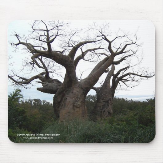 Tapis De Souris Arbre Mousepad de baobab (Devant)