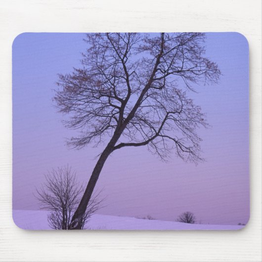 Tapis De Souris Arbre penché dans un champ enneigé; Comté de Chipp (Devant)