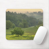 Tapis De Souris Arbre unique dans le domaine agricole, Toscane, (Avec souris)