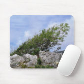 TAPIS DE SOURIS ARBRES (Avec souris)