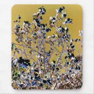 TAPIS DE SOURIS ARBRES