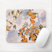 Tapis De Souris Arbres à fruits - Edward Lear (Avec souris)