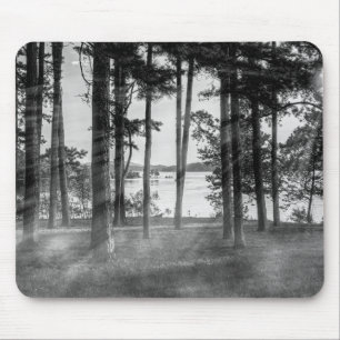Tapis De Souris Arbres brumeux à Table Rock en nuances de gris