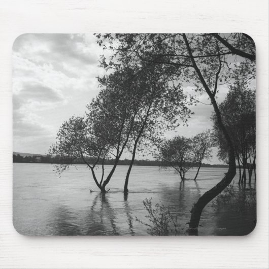 Tapis De Souris Arbres dans le lac (Devant)