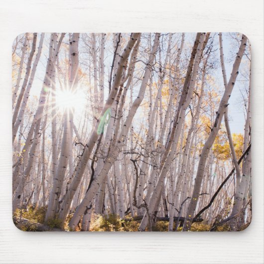 Tapis De Souris Arbres d'Aspen (Devant)