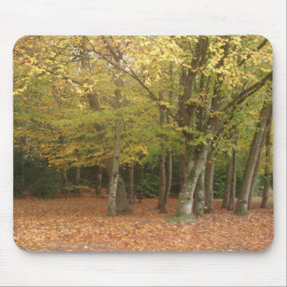 Tapis De Souris Arbres d'automne