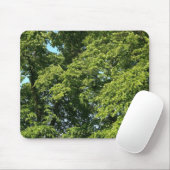 Tapis De Souris Arbres d'été (Avec souris)