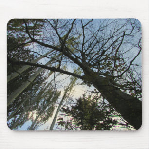 Tapis De Souris Arbres et ciel ou votre carte photo