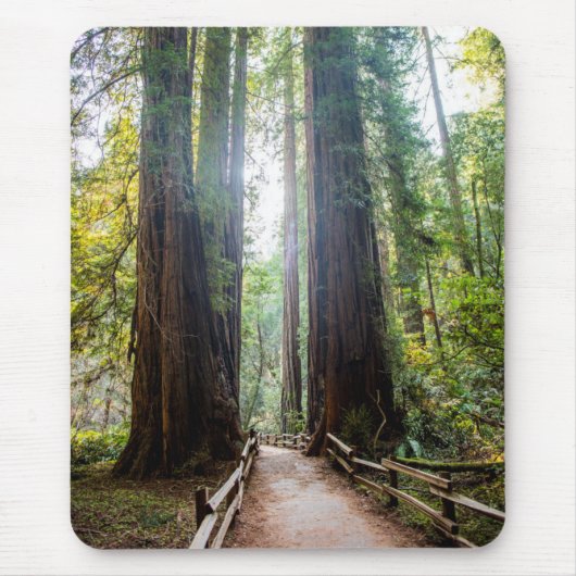 Tapis De Souris Arbres grands (Devant)