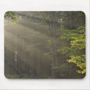 Tapis De Souris Arbres le long de 7 Lakes Drive, Harriman, NY