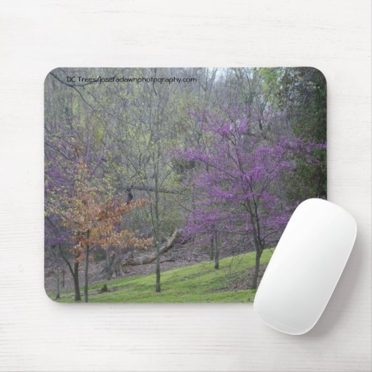 Tapis De Souris Arbres Mousepad de C.C (Avec souris)