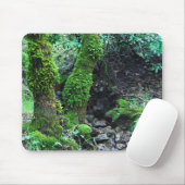 Tapis De Souris Arbres mousses (Avec souris)