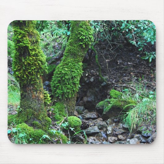 Tapis De Souris Arbres mousses (Devant)