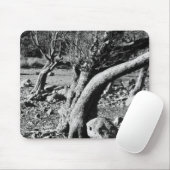 TAPIS DE SOURIS ARBRES NOIRS ET BLANCS (Avec souris)
