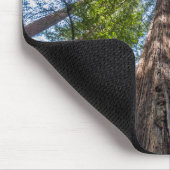 Tapis De Souris Arbres séquoias | Comté de Marin, Californie (Coin)