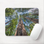 Tapis De Souris Arbres séquoias | Comté de Marin, Californie (Avec souris)