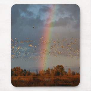 Tapis De Souris Arc en ciel et oies Mousepad