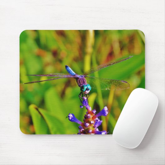 Tapis De Souris Arc en ciel libellule et fleur (Avec souris)