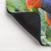 Tapis De Souris Arc-en-ciel Lorikeet (Coin)
