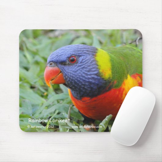 Tapis De Souris Arc-en-ciel Lorikeet (Avec souris)