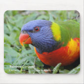 Tapis De Souris Arc-en-ciel Lorikeet (Devant)