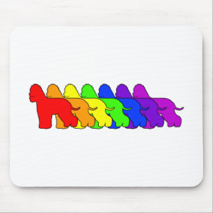 Tapis De Souris Arc-en-ciel Whiptail