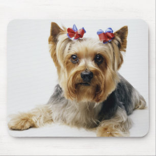 Tapis De Souris Arcs de port de rouge de terrier de Yorkshire
