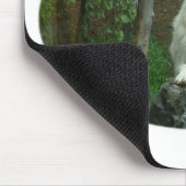 Tapis de souris arctique de loup (Coin)