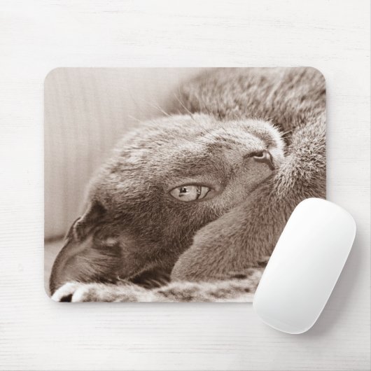 Tapis De Souris Argentez le chat Mousepad (Avec souris)