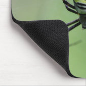 Tapis De Souris Argiope bruennichi (Coin)