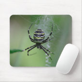 Tapis De Souris Argiope bruennichi (Avec souris)