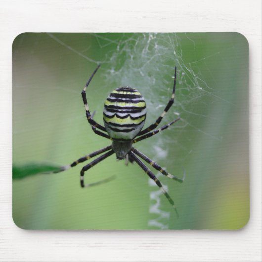 Tapis De Souris Argiope bruennichi (Devant)