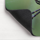 Tapis De Souris Argiope bruennichi (Coin)