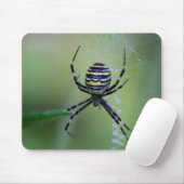 Tapis De Souris Argiope bruennichi (Avec souris)