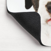 Tapis De Souris Arlequin grand chien Dane sur arrière - plan blanc (Coin)