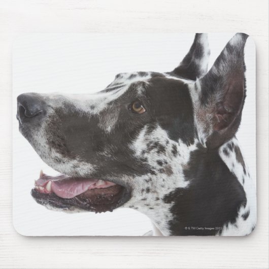 Tapis De Souris Arlequin Great Dane (Devant)