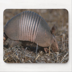 Tapis De Souris Armadillo Mousepad