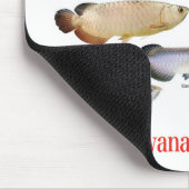 Tapis De Souris Arowana (Coin)