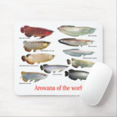 Tapis De Souris Arowana (Avec souris)