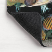 Tapis De Souris Arowana asiatiqueとPoissonDiscus (Coin)