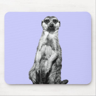 Tapis De Souris Arrière - plan de bigorneau de Meerkat